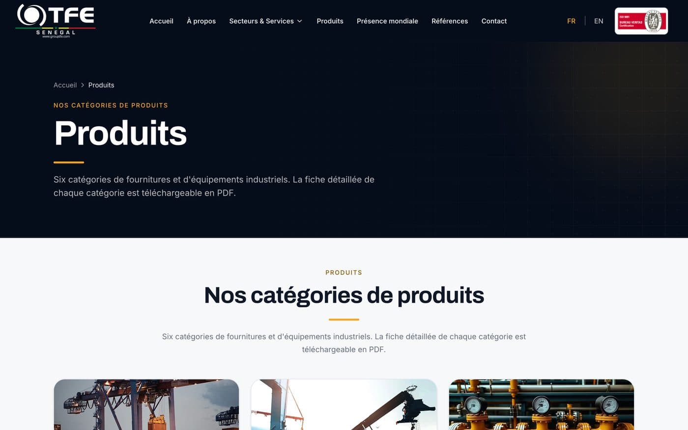 Page Produits du site de TFE Sénégal : six catégories, fiches PDF téléchargeables