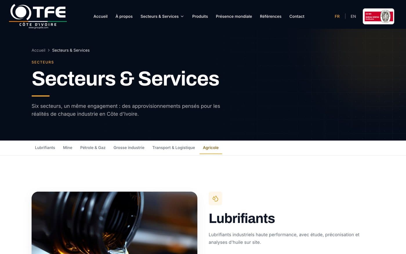 Page Secteurs & Services du site de TFE Côte d'Ivoire