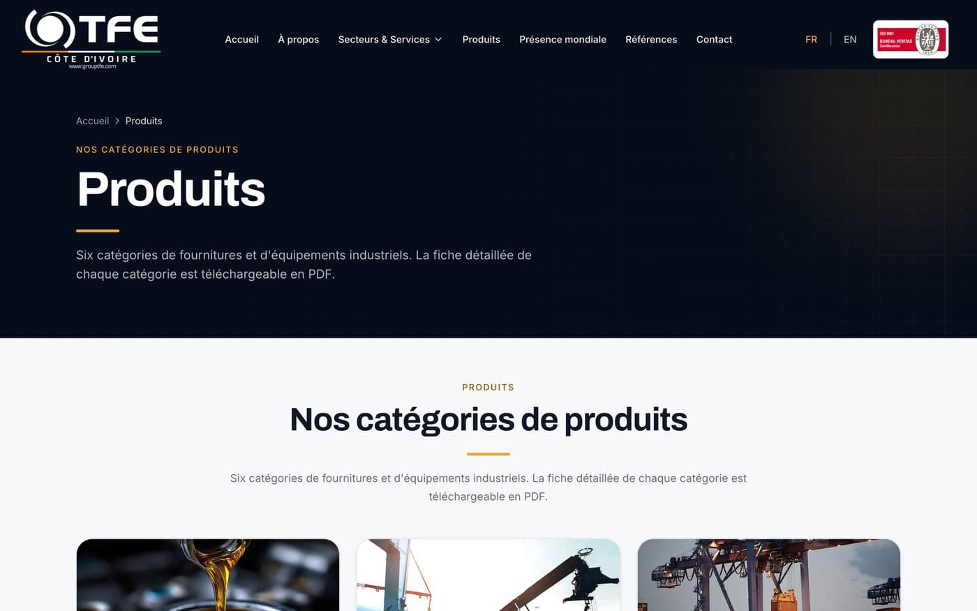 Page Produits du site de TFE Côte d'Ivoire : six catégories, fiches PDF téléchargeables